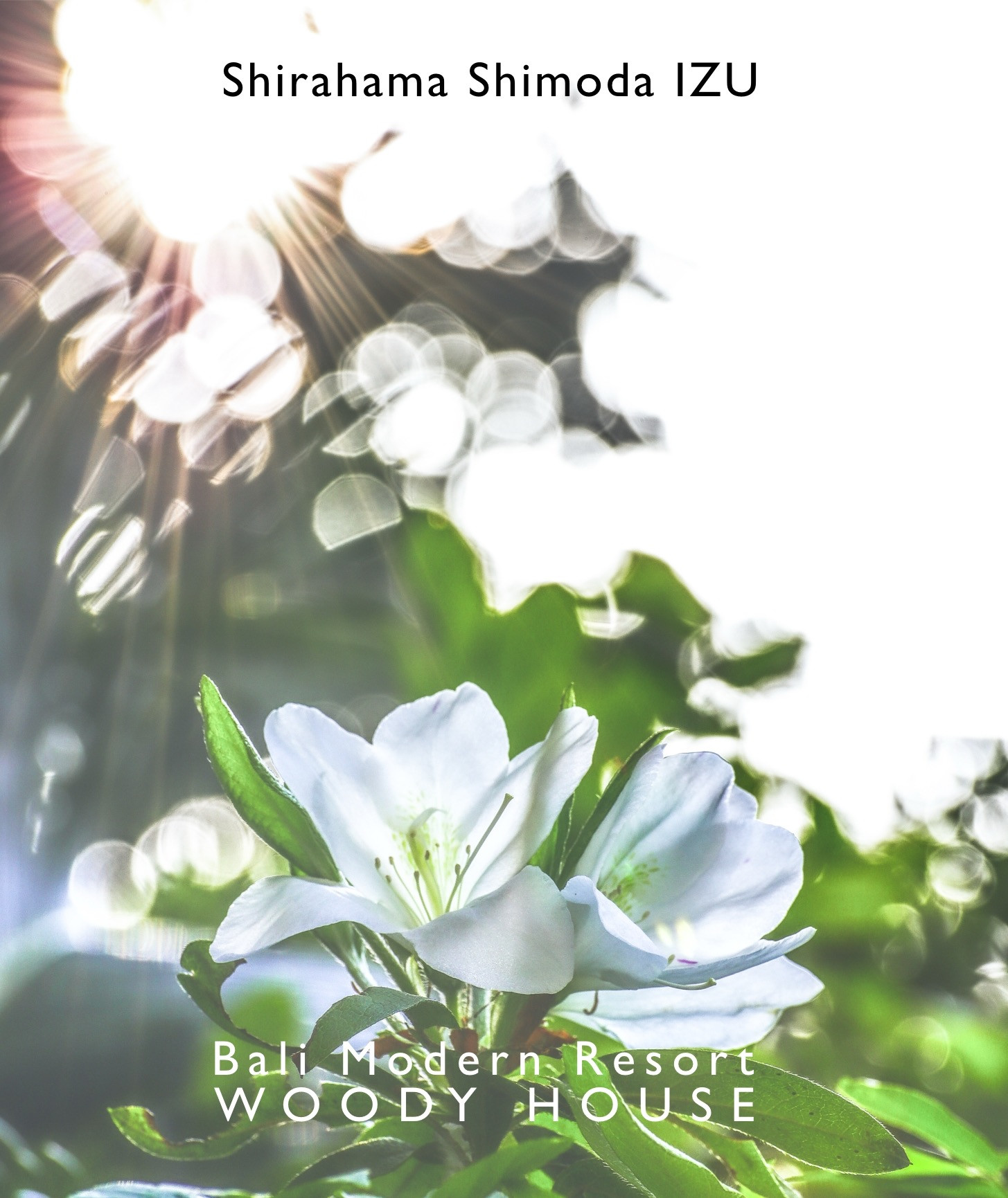 初夏やゴールデンウィークのウッディーハウスオススメです！